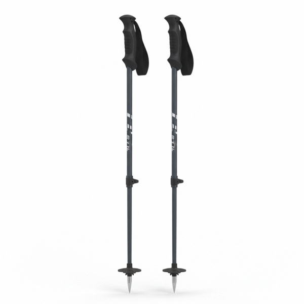 Ski Poles