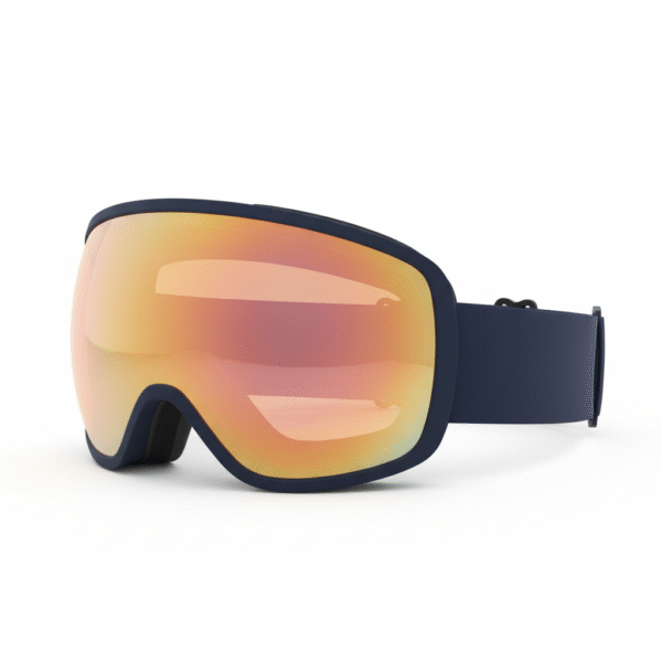Ski Goggles